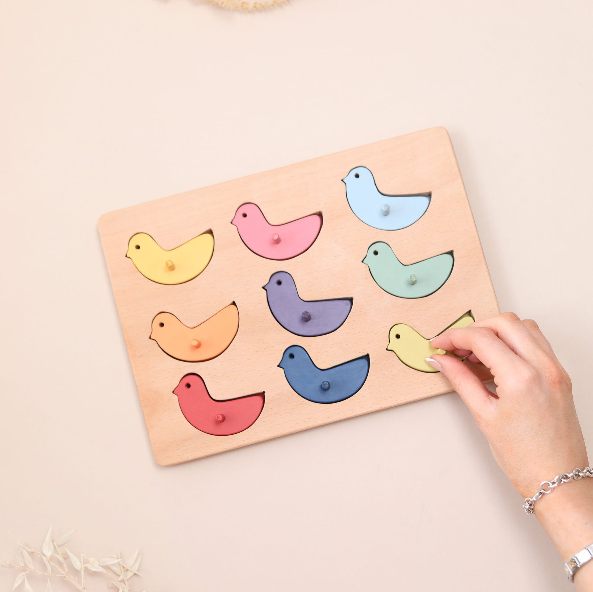 Colour Sorting Bird Peg Puzzle