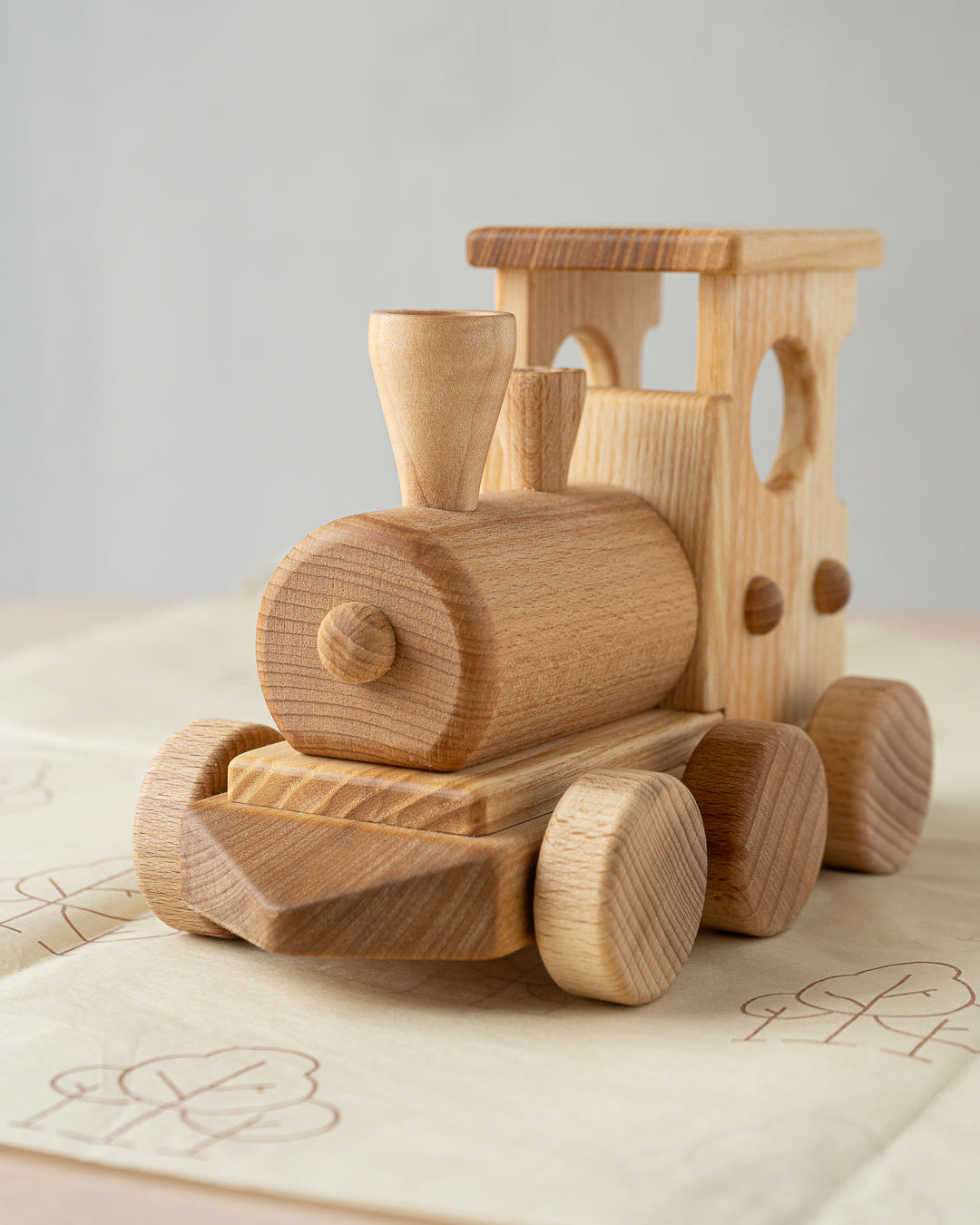 Pull Along Train and Wooden Building Blocks