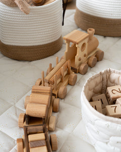 Pull Along Train and Wooden Building Blocks