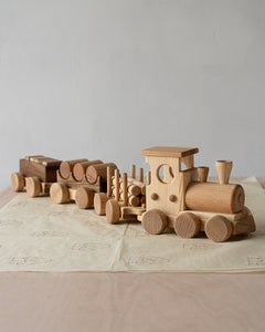 Pull Along Train and Wooden Building Blocks