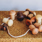 Large Threading Mushrooms and Lace