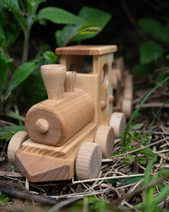 Pull Along Train and Wooden Building Blocks