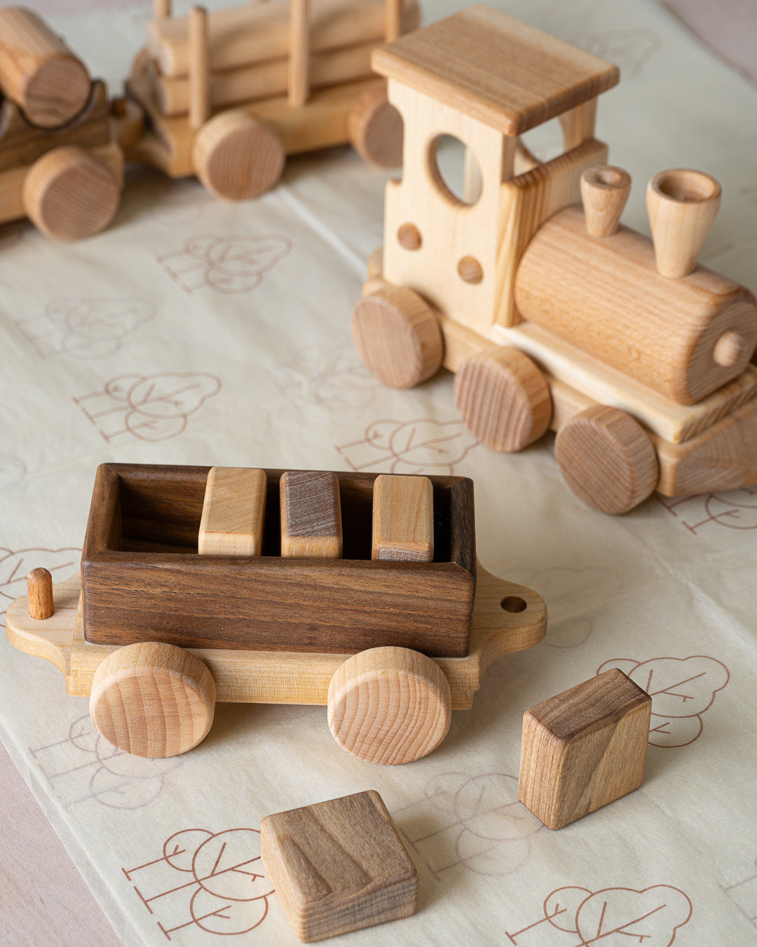 Pull Along Train and Wooden Building Blocks