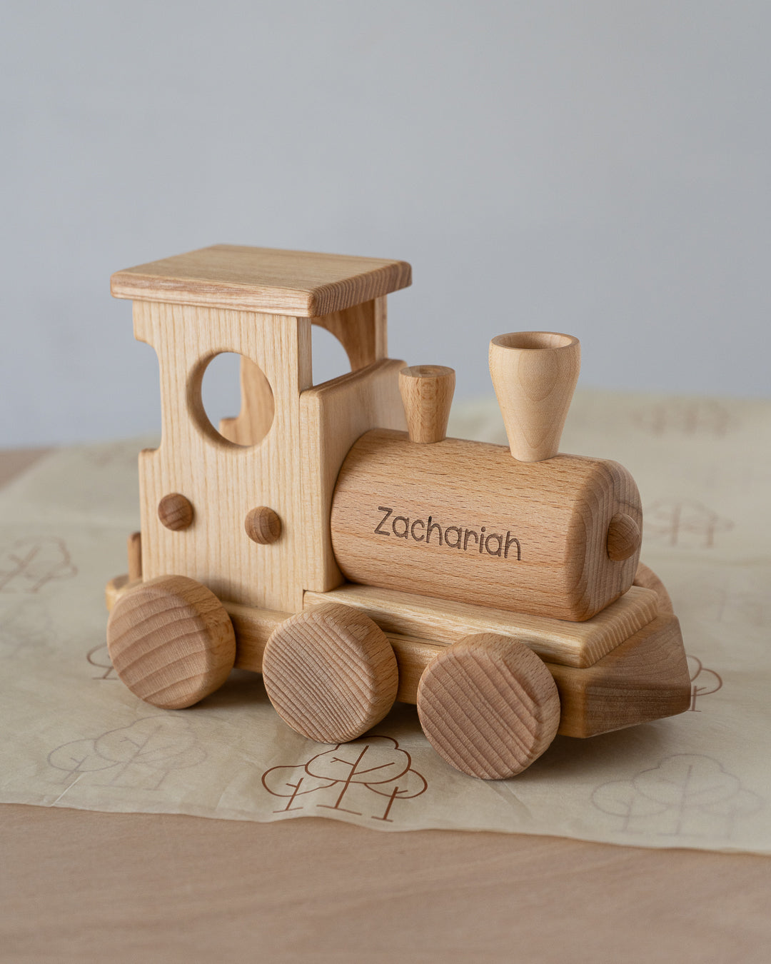 Pull Along Train and Wooden Building Blocks