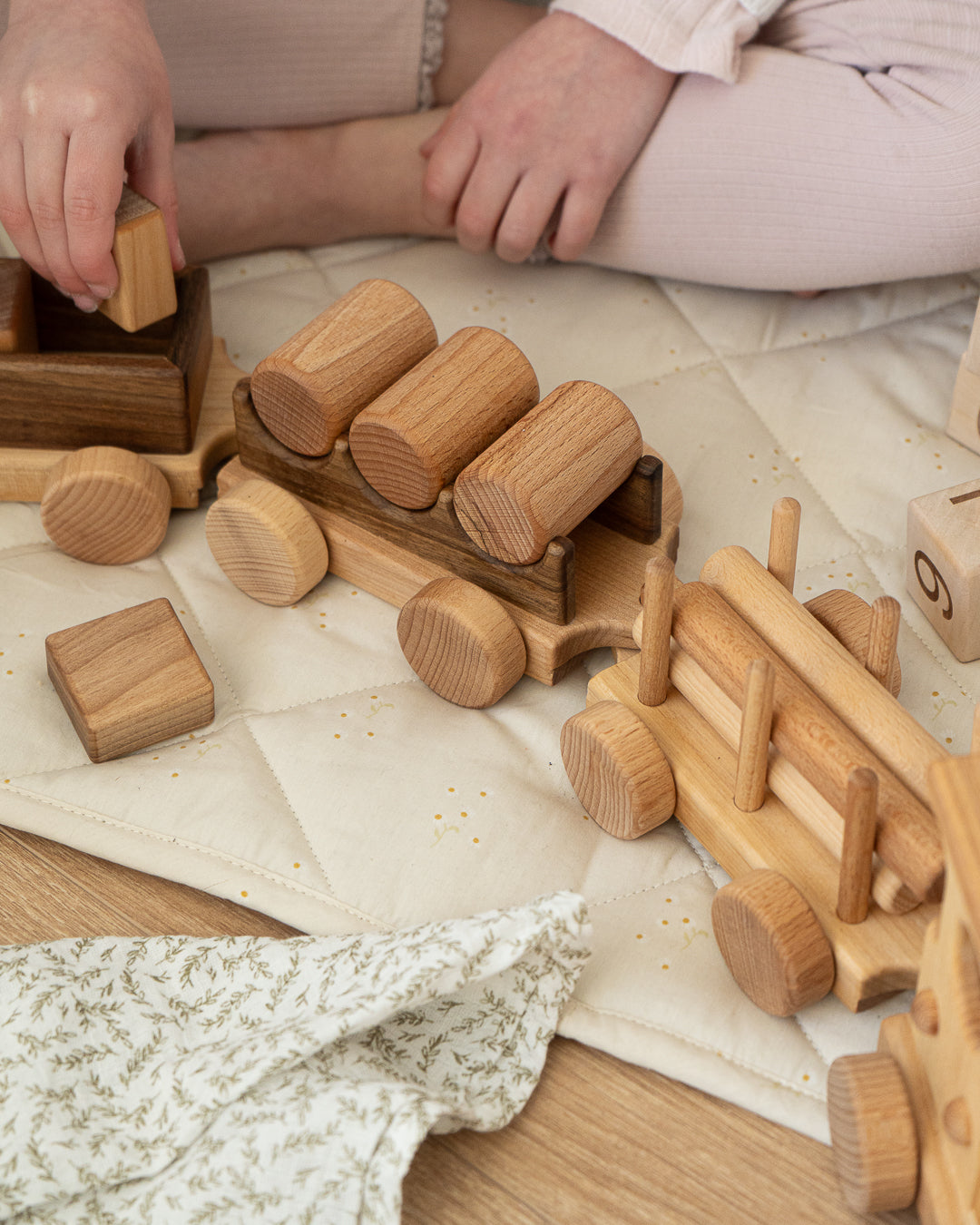 Pull Along Train and Wooden Building Blocks