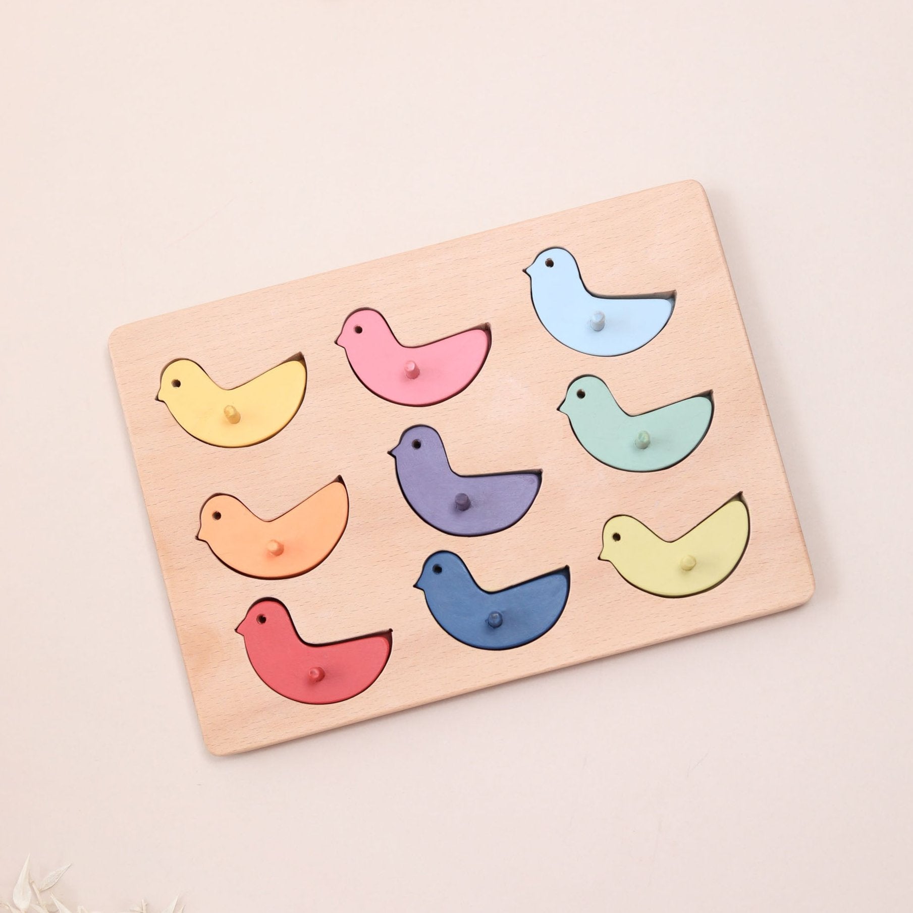 Colour Sorting Bird Peg Puzzle