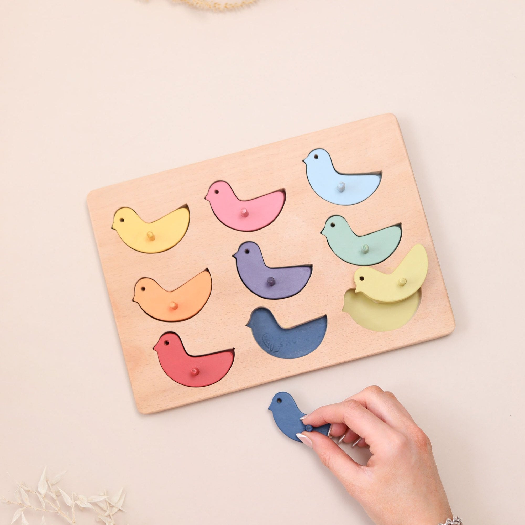 Colour Sorting Bird Peg Puzzle