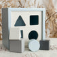 Shape Sorter