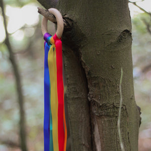 Rainbow Sensory Ribbon Ring, Hand Kite