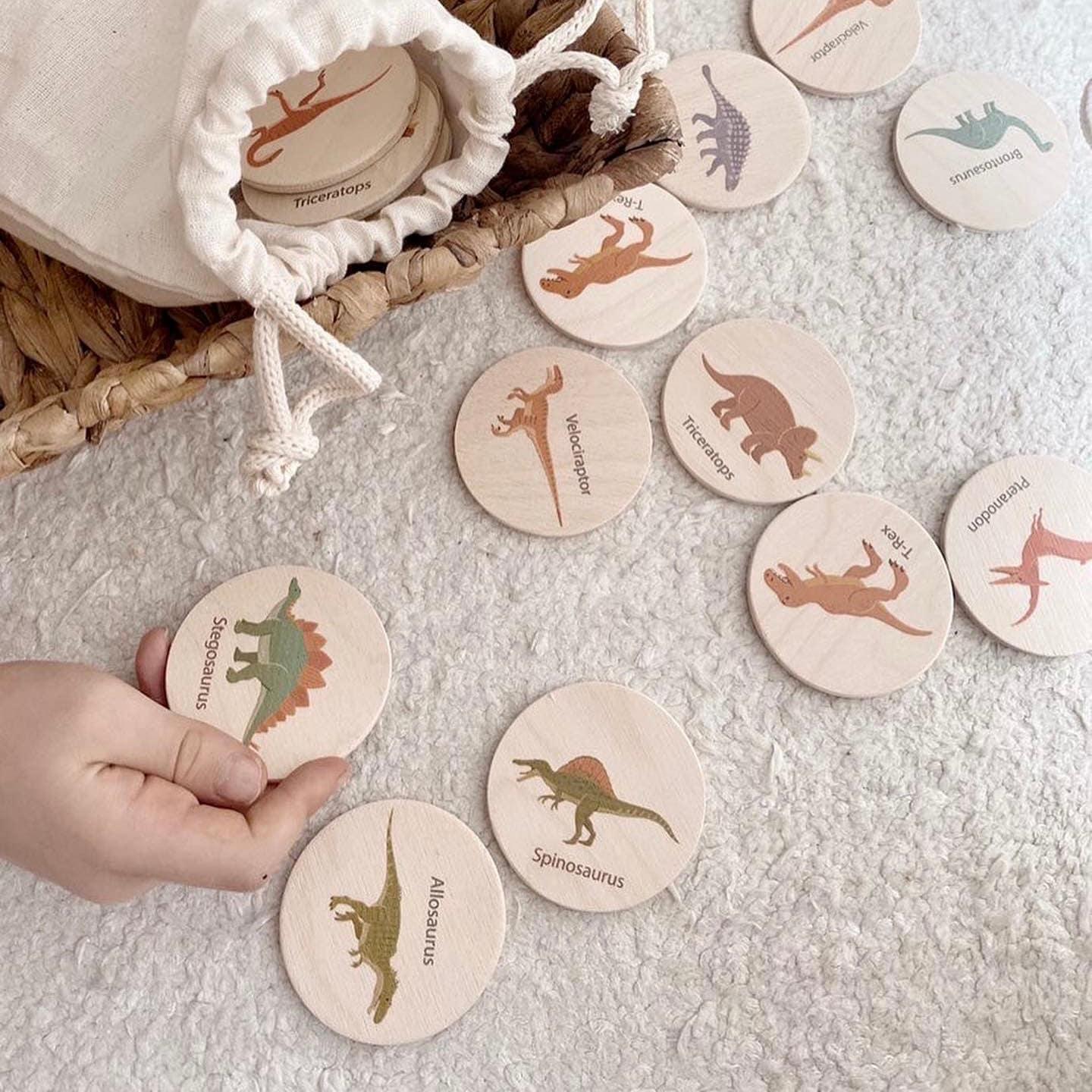Wooden Dinosaur Memory Game