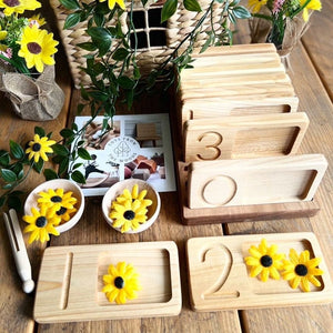 Number Wooden Counting Boards, Maths Number Trays